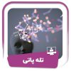 دوره تله پاتی