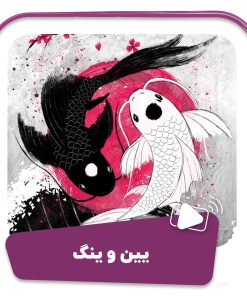 فیلم یین و ینگ