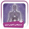 مستر کلاس آناتومی انرژی