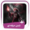 شمن حرفه ای