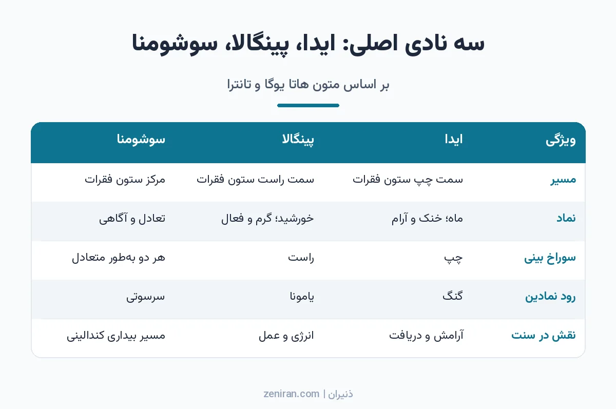 جدول مقایسه سه نادی اصلی ایدا، پینگالا و سوشومنا از نظر مسیر، نماد، سوراخ بینی، رود نمادین و نقش در سنت یوگا