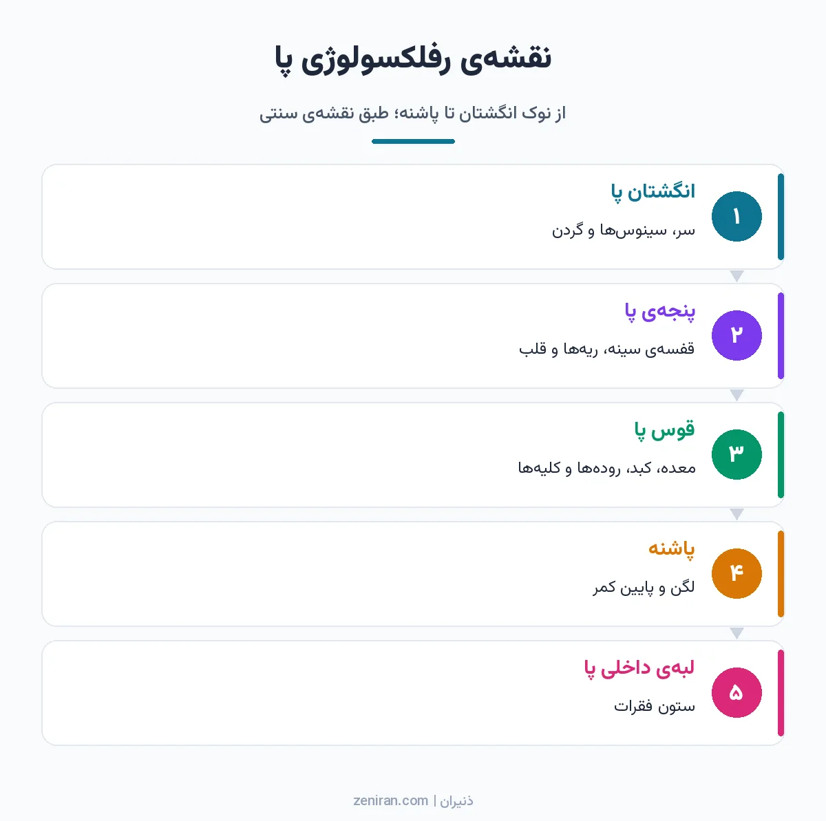 دیاگرام نواحی نقشهی رفلکسولوژی پا از انگشتان متناظر با سر تا پاشنه متناظر با لگن و لبهی داخلی متناظر با ستون فقرات