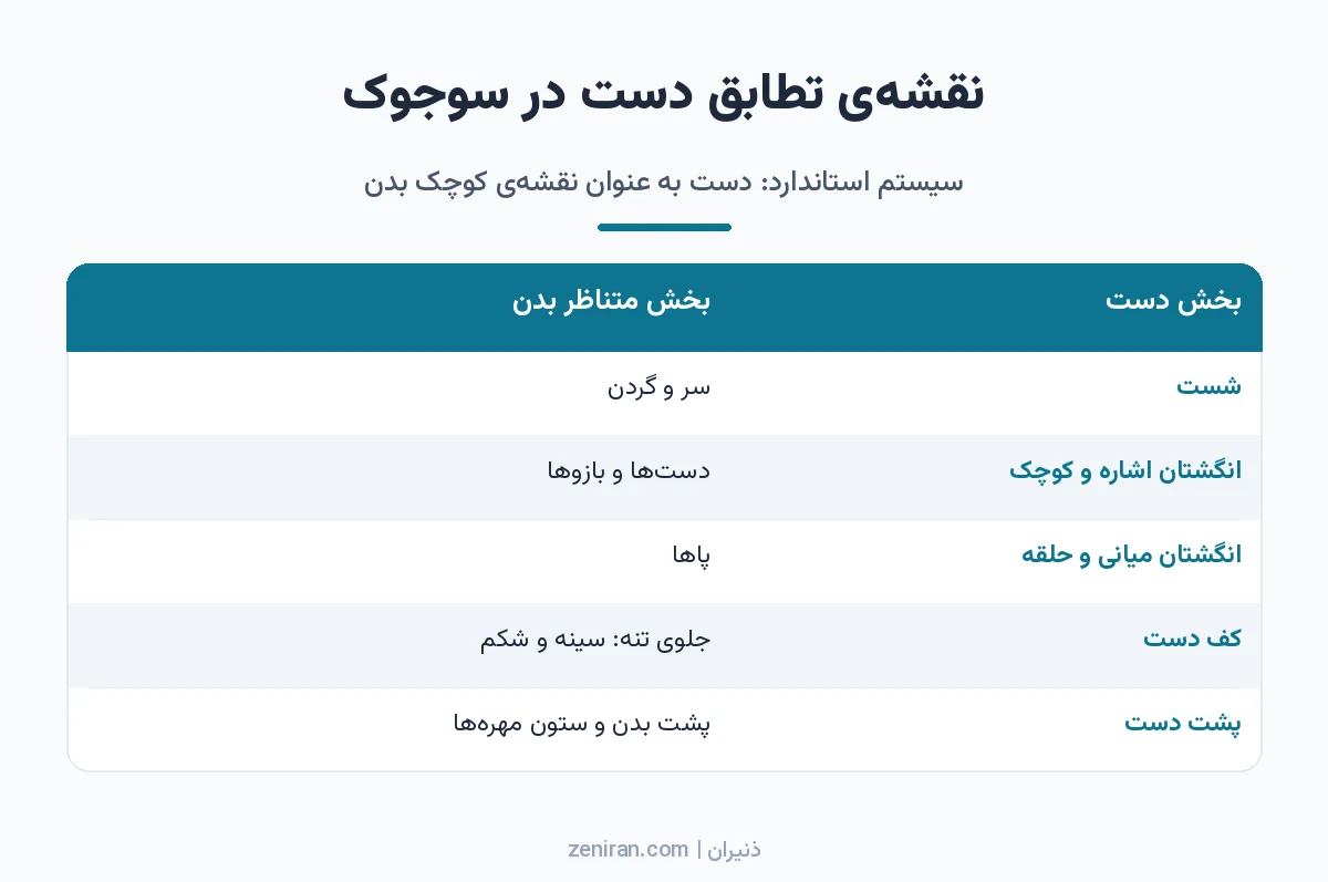 جدول نقشهی تطابق دست در سوجوک: شست با سر و گردن، اشاره و کوچک با دستها، میانی و حلقه با پاها، کف دست با جلوی تنه و پشت دست با ستون مهرهها