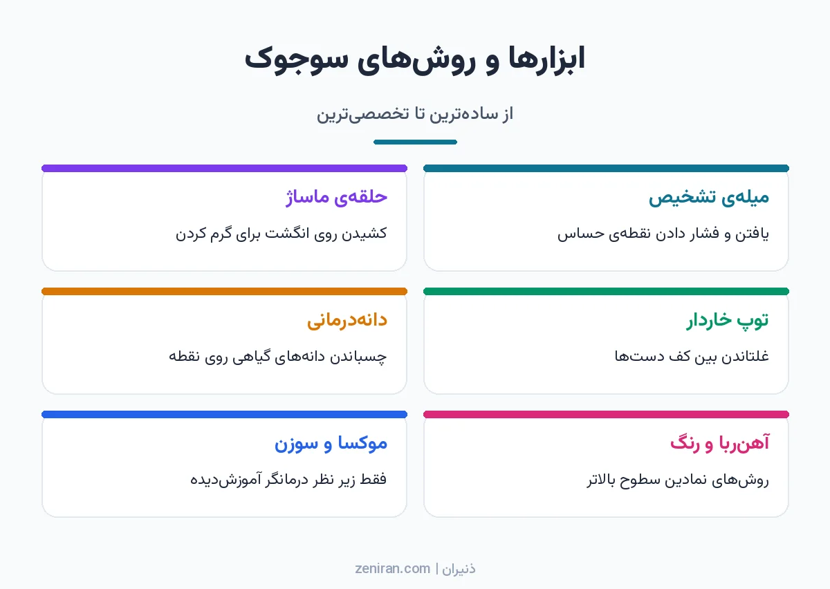 اینفوگرافیک شش کارتی ابزارهای سوجوک: میلهی تشخیص، حلقهی ماساژ، توپ خاردار، دانهدرمانی، آهنربا و رنگ، موکسا و سوزن